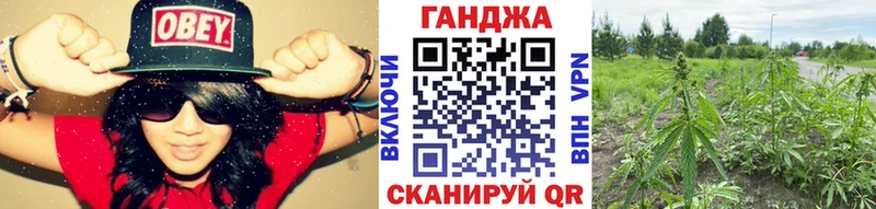 Шишки марихуана планчик  мега ТОР  Дзержинский  мориарти как зайти  как найти закладки 